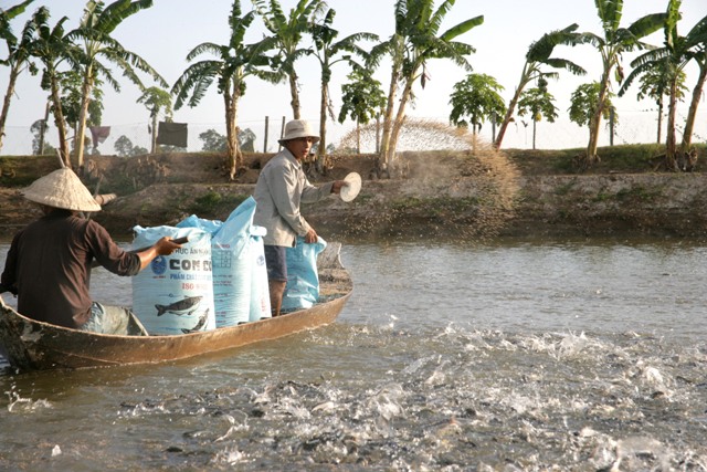 Một số loại hóa chất và phương pháp sử dụng hóa chất trong nuôi trồng thủy sản.