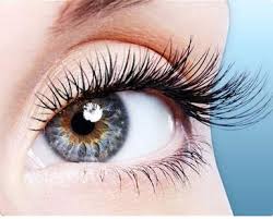Thuốc Bổ Cho Mắt – Có thể bạn chưa biết những vấn đề liên quan đến đôi mắt