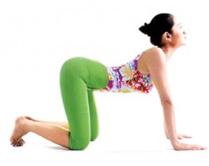 bài tập yoga giúp giảm đau nhức vùng lưng