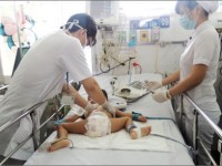 TP HCM: 17.700 ca mắc bệnh, 7 ca tử vong vì sốt xuất huyết