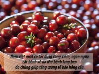 10 thực phẩm màu đỏ bổ máu cho cơ thể