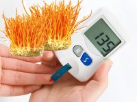 Tác dụng của đông trùng hạ thảo với bệnh tiểu đường