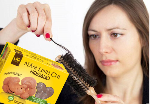 Điều trị rụng tóc bằng nấm linh chi hqgano 