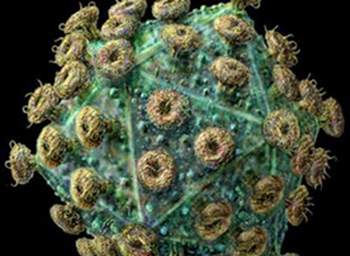 Giảm HIV trong máu bằng kháng thể mới