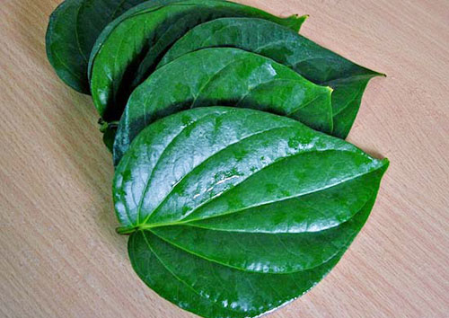 Bài thuốc dân gian trị bệnh đau mắt đỏ