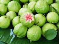 Lợi ích bất ngờ từ trái ổi bạn chớ bỏ qua