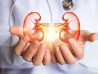 5 Loại thực phẩm bổ thận tốt cho nam giới