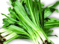 Rau ngò gai hỗ trợ điều trị sỏi thận